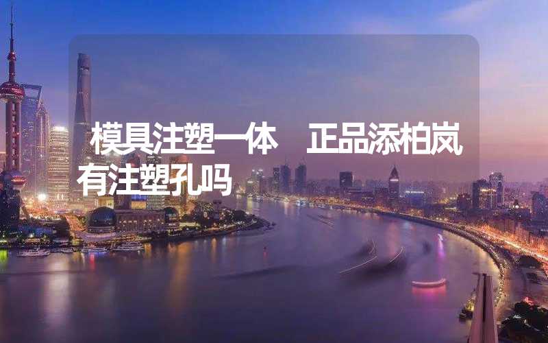 模具注塑一体 正品添柏岚有注塑孔吗